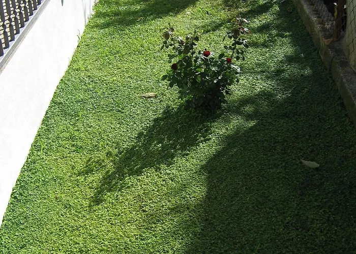 Apartament With Swimming Pool Kastel Stari, - 24273